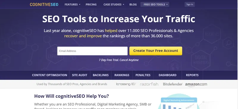 CognitiveSEO