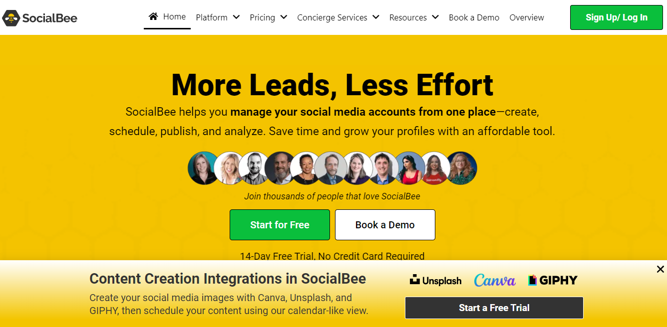                                                                      SocialBee
