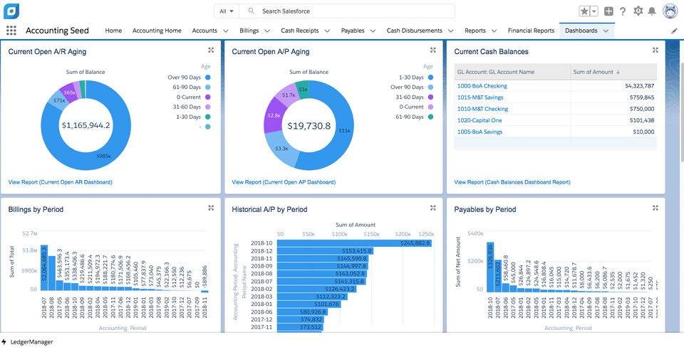 Accounting Seed screenshot 1