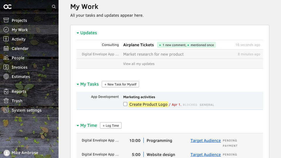 ActiveCollab screenshot 1