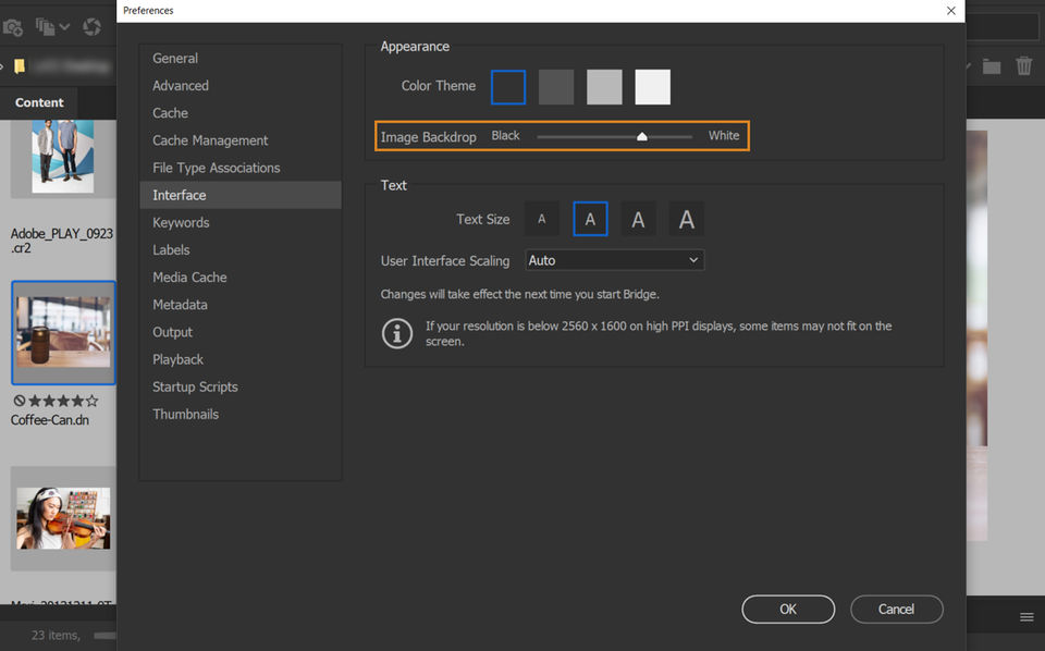 Adobe Bridge screenshot 2