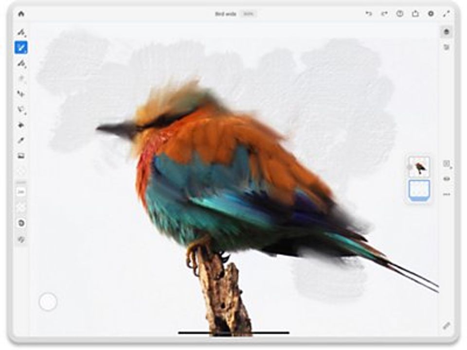 Adobe Fresco screenshot 4