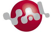 AMMON logo