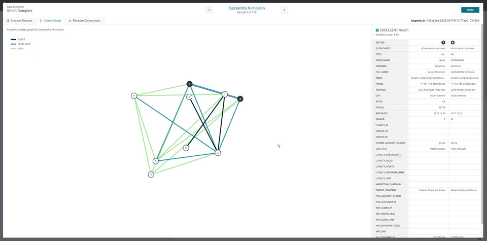 Amperity screenshot 1