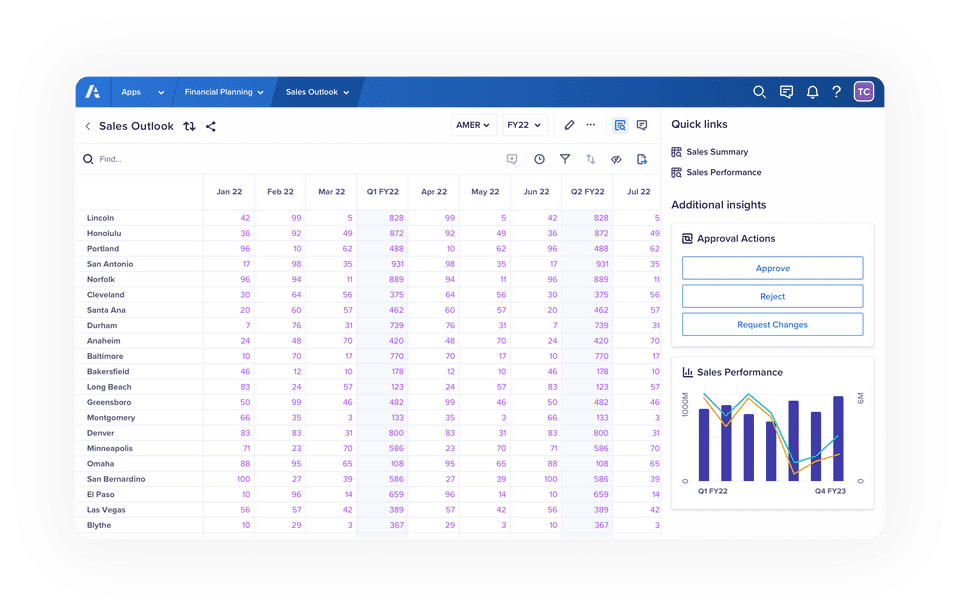 Anaplan screenshot 3