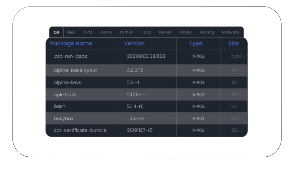 Anchore screenshot 2
