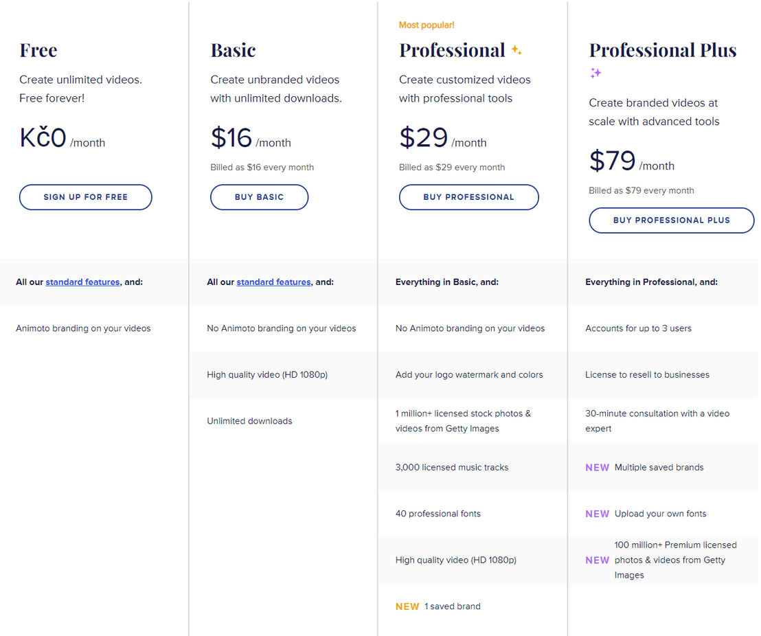 Animoto pricing 2