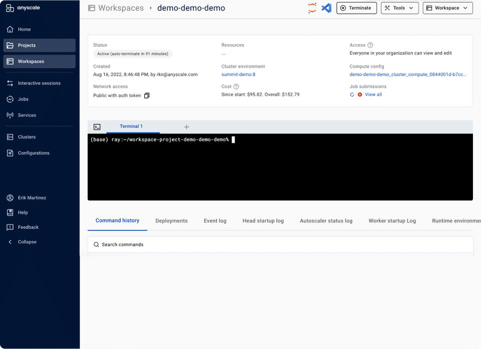 Anyscale screenshot 3