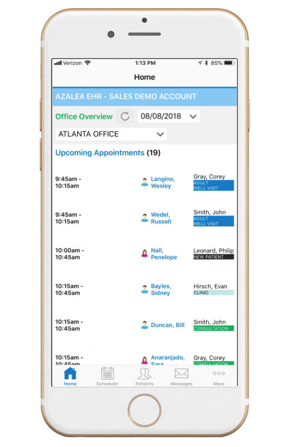 Azalea EHR screenshot 1