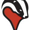 Badger Maps logo