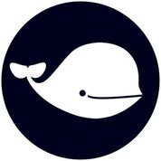 BelugaCDN logo