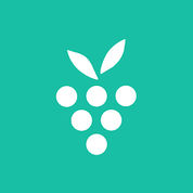 berrycast logo