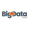 BigDataCloud logo