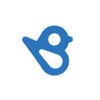 BirdEye logo