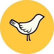 150birds logo