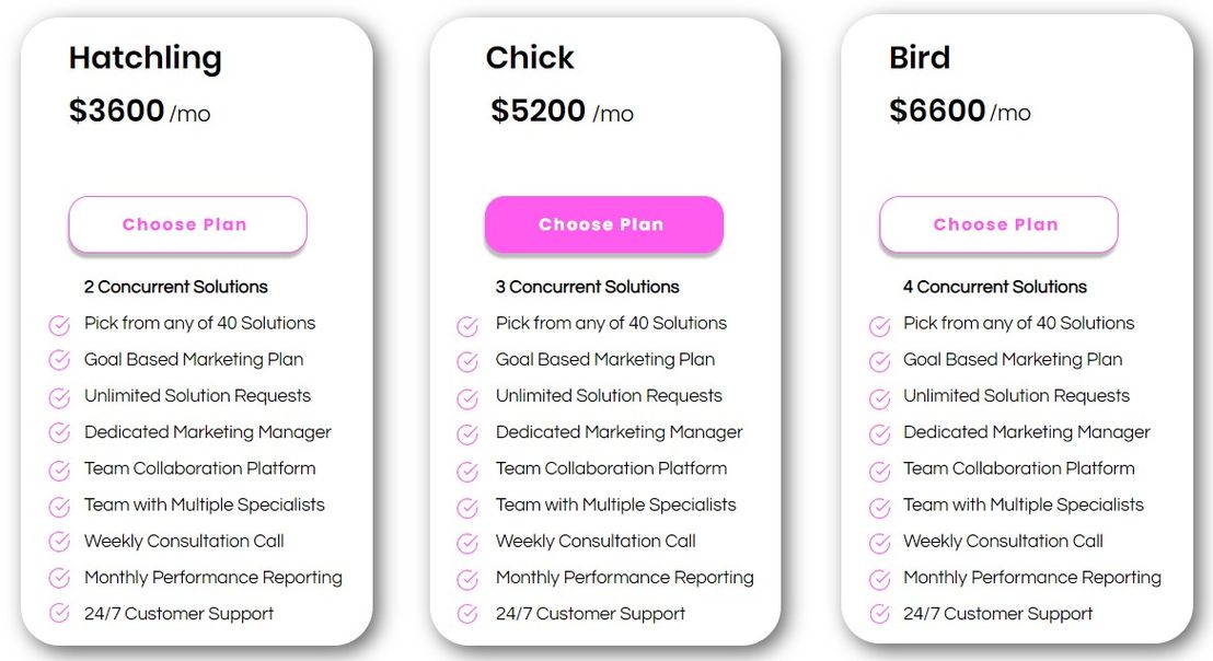 150birds pricing 1
