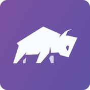 BisonBerg logo