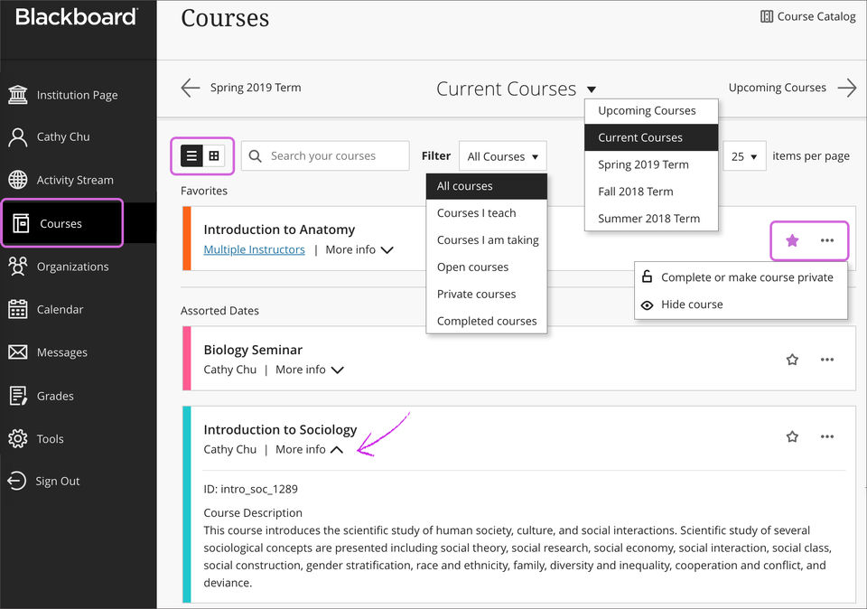 Blackboard Learn screenshot 2