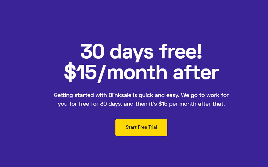 Blinksale pricing 1