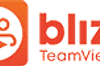 Blizz logo