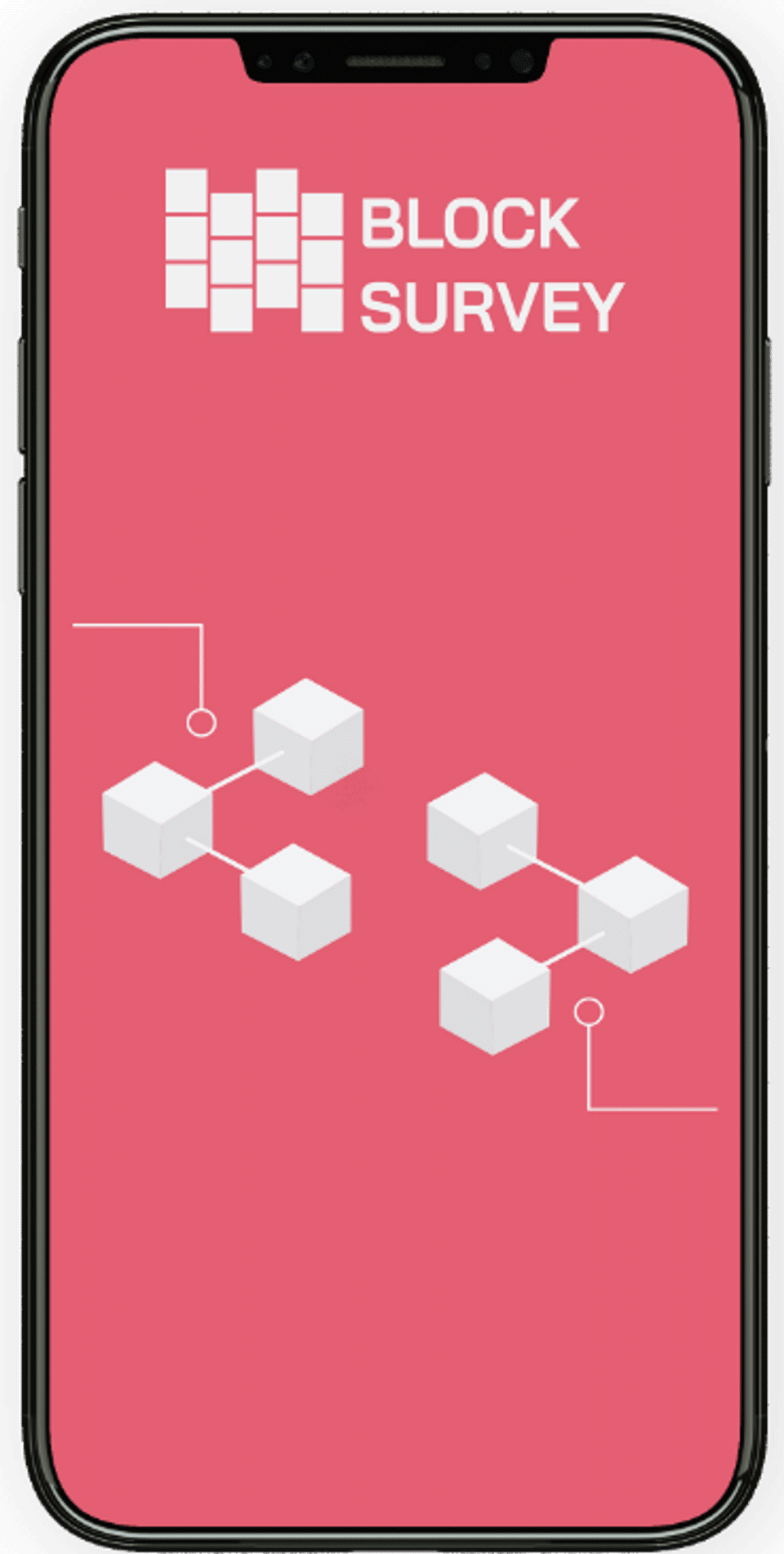 BlockSurvey screenshot 1