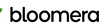 Bloomerang logo