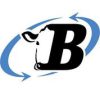 BoviSync logo