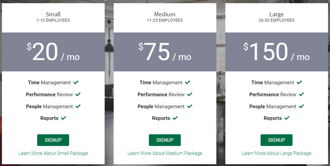 BrainyHR pricing 1