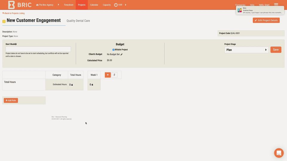 Bric screenshot 4