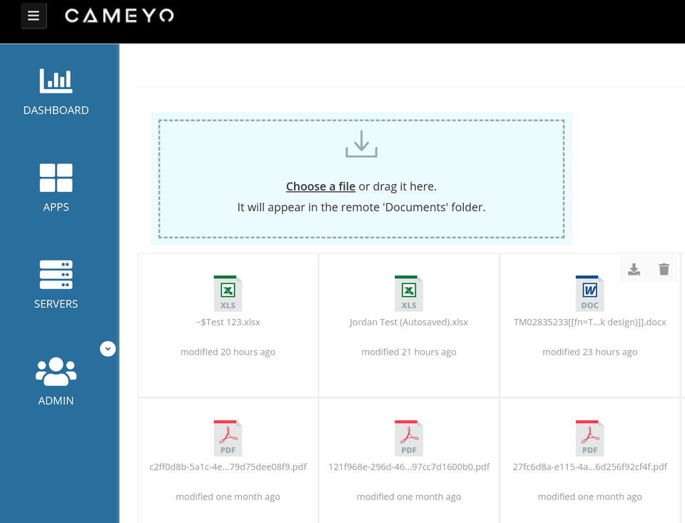 Cameyo screenshot 1