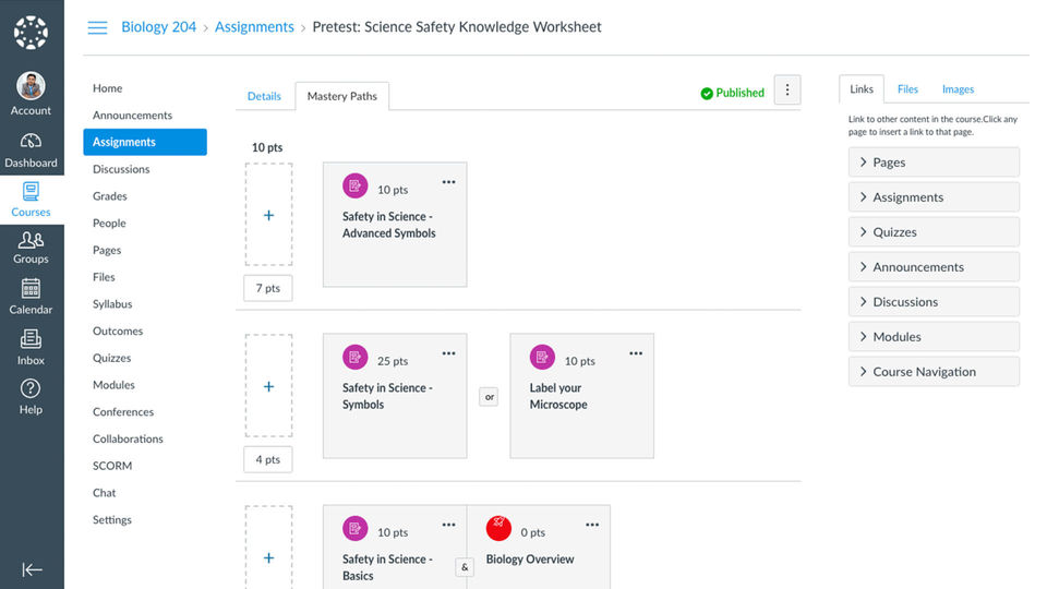 Canvas LMS screenshot 1