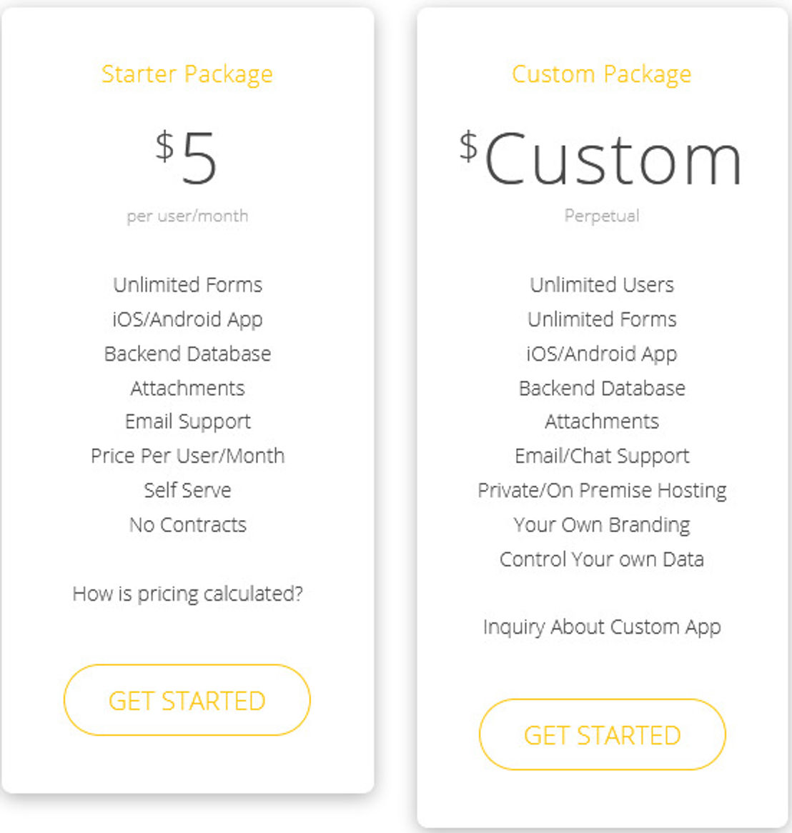 Chameleon Forms pricing 1