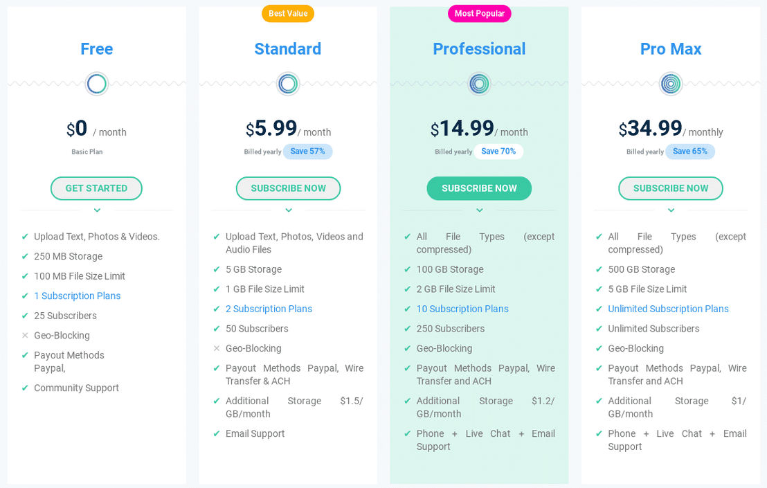 99Circles pricing 1
