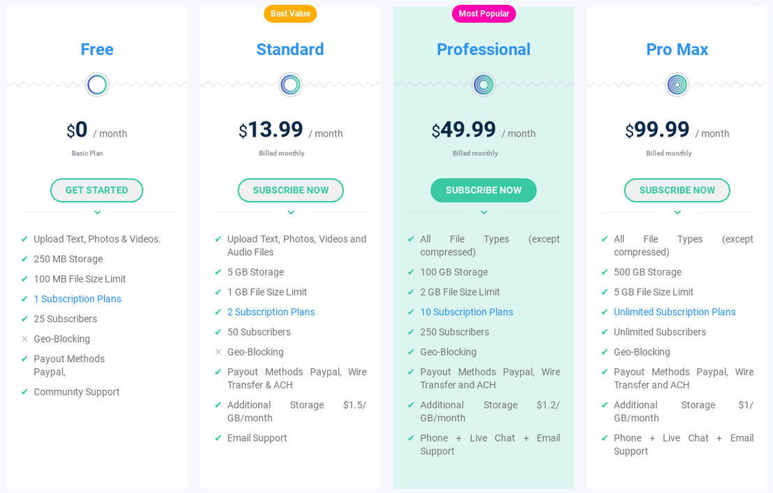 99Circles pricing 2