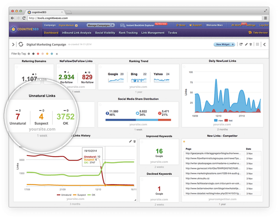 Cognitive SEO screenshot 4