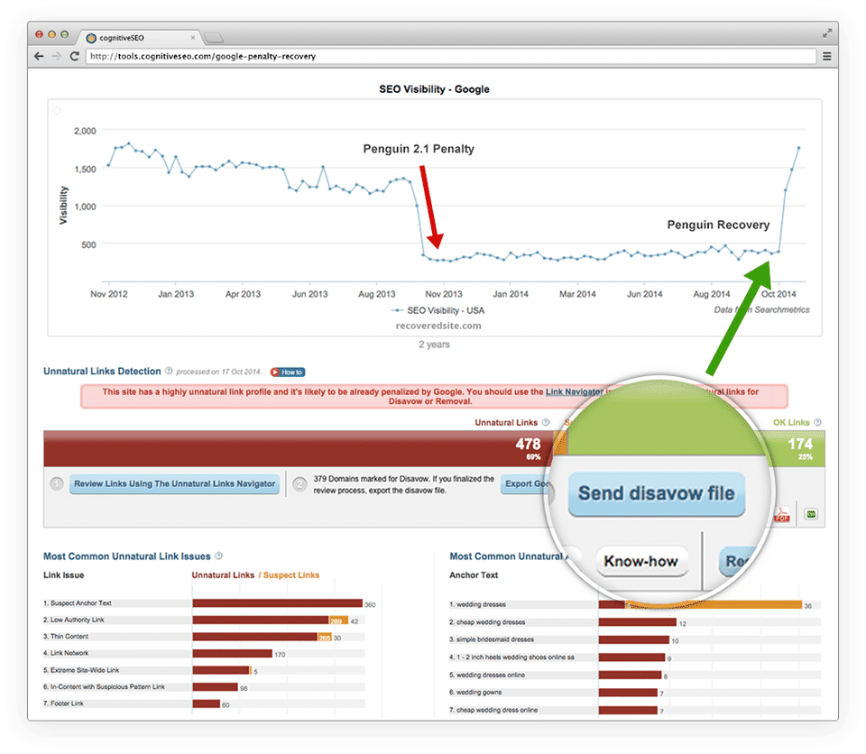 Cognitive SEO screenshot 3