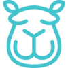 Content Camel logo