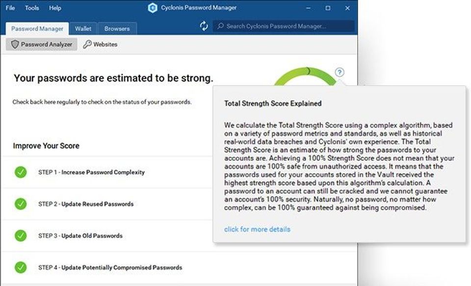 Cyclonis Password Manager screenshot 3