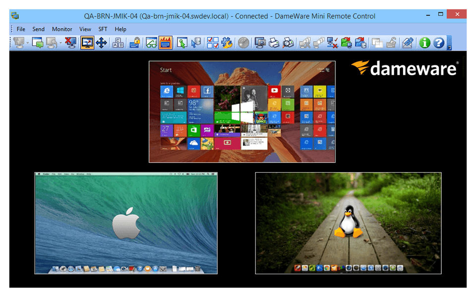 Dameware Mini Remote Control screenshot 2