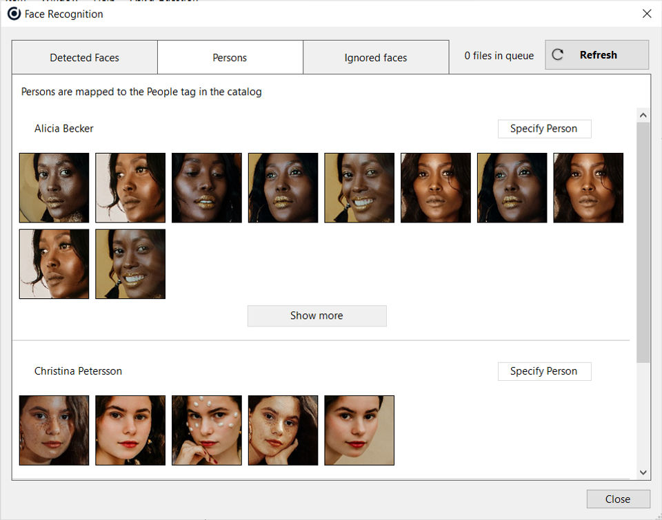 Daminion screenshot 1