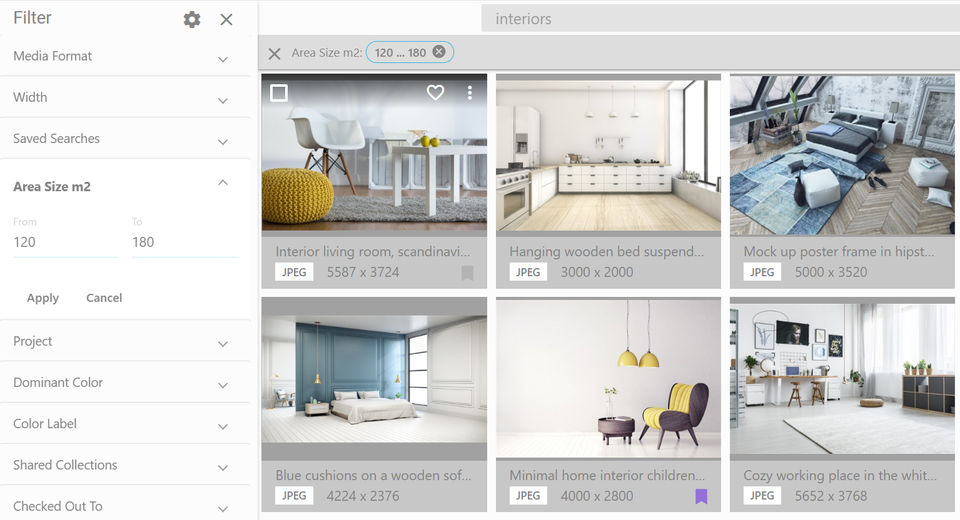 Daminion screenshot 2