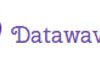 Datawaves logo