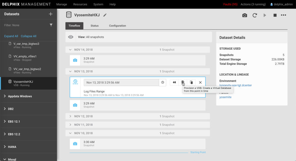 Delphix screenshot 1