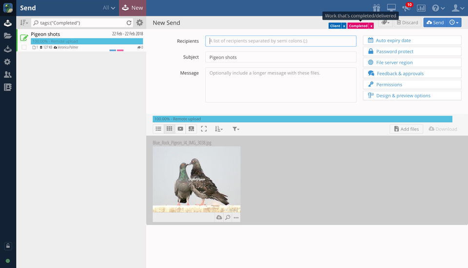 Digital Pigeon screenshot 2