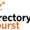 Directory Burst logo