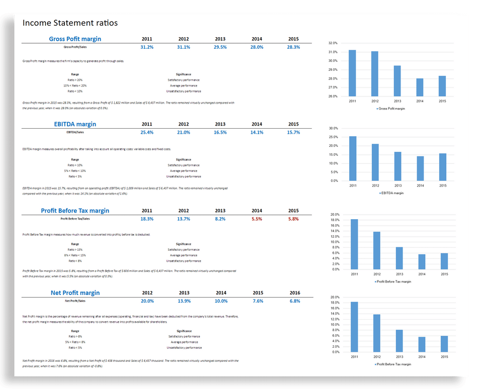 Financial Statement Analysis screenshot 4
