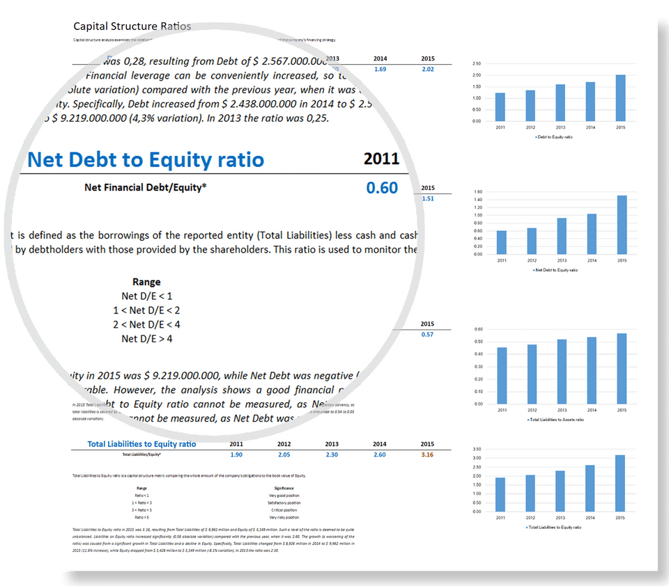 Financial Statement Analysis screenshot 3