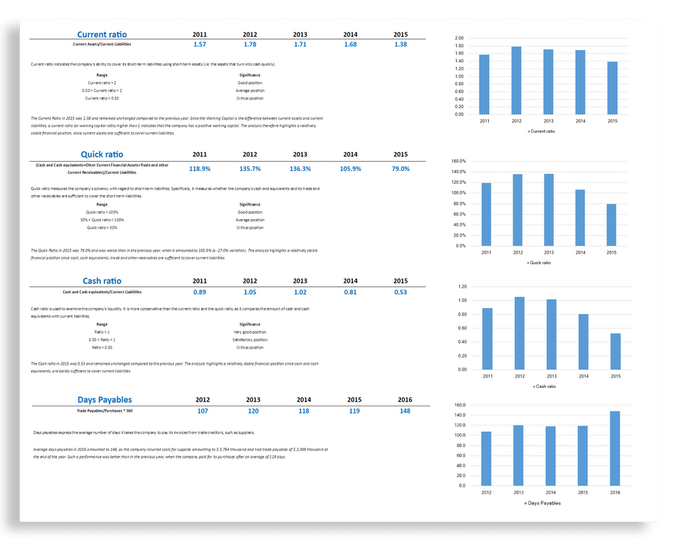 Financial Statement Analysis screenshot 2