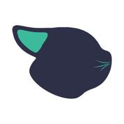 Flaneer logo