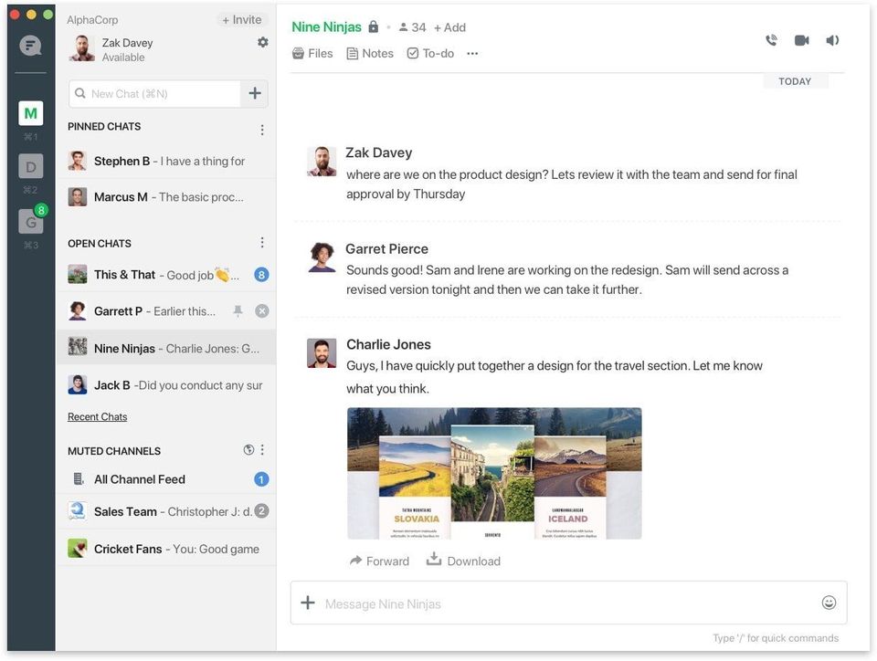 Flock screenshot 1